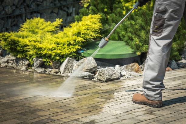 Best Animal Enclosure Cleaning  in West Puente Valley, CA